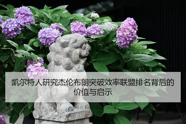 img_1780664467461_447_1_436.jpg